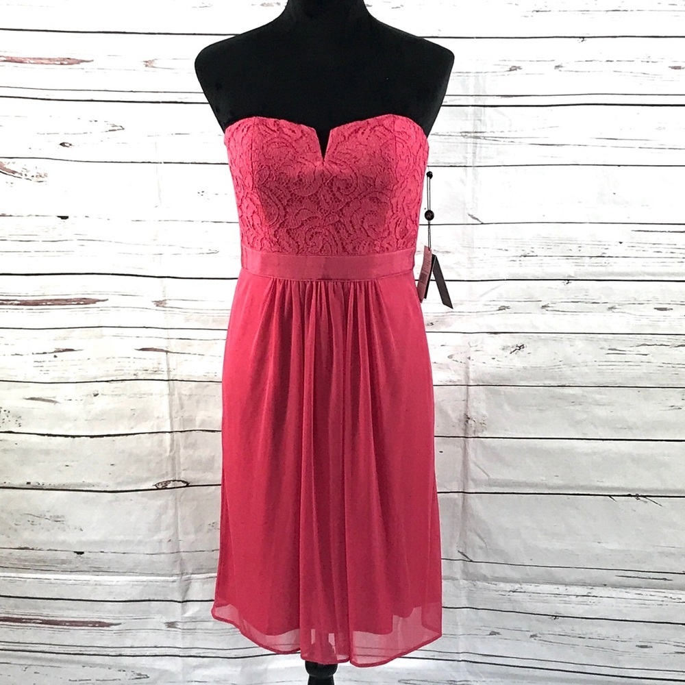 Adrianna Papell Strapless‎ Dress Pink Lace Size 4